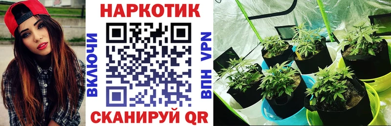 Гашиш Хадыженск