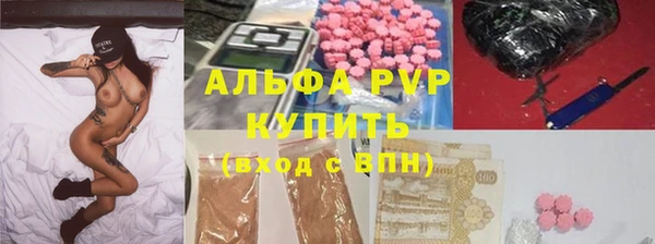 ПСИЛОЦИБИНОВЫЕ ГРИБЫ Белокуриха