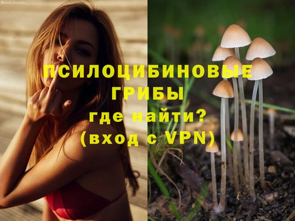 ПСИЛОЦИБИНОВЫЕ ГРИБЫ Белокуриха