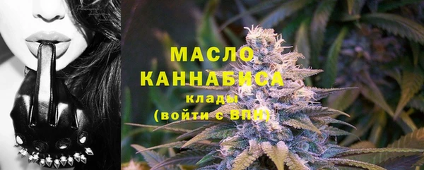 СК Богородск