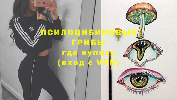 герыч Балахна